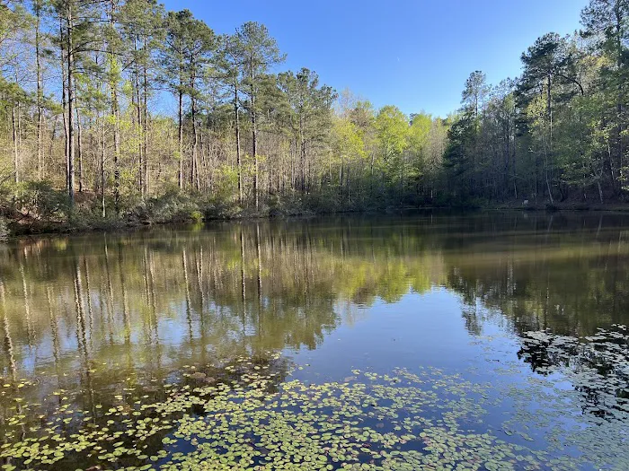 Scenic Mountain RV Resort Picture 4