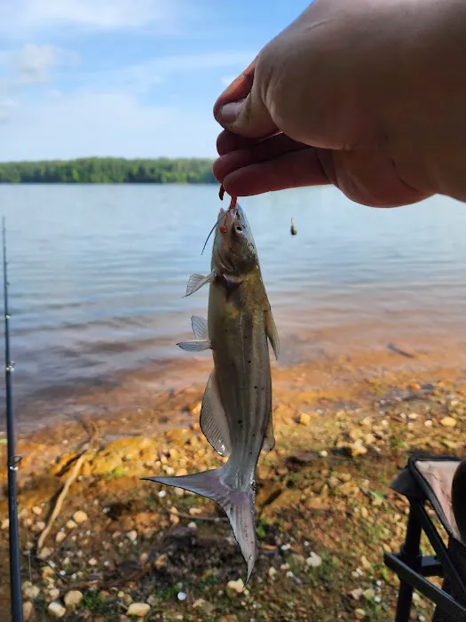 Holliday Park Picture 1