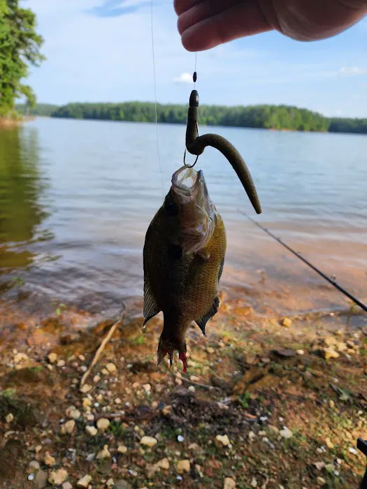 Holliday Park Picture 3