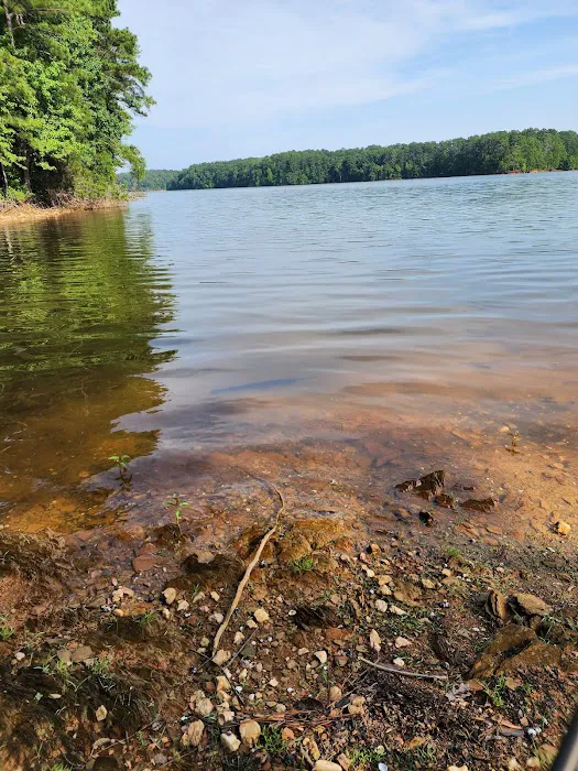 Holliday Park Picture 8