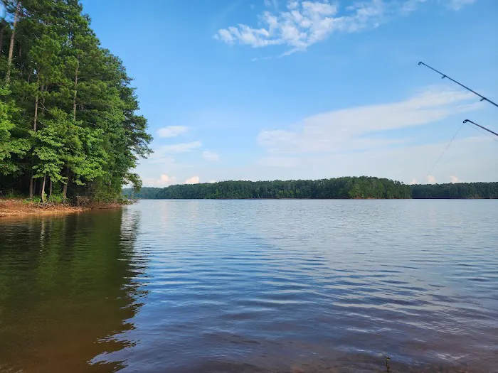 Holliday Park Picture 10