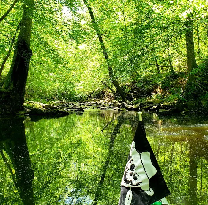 Clay Hill Campground Picture 9