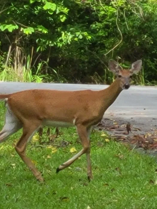 Winfield Campground Check-In Picture 3