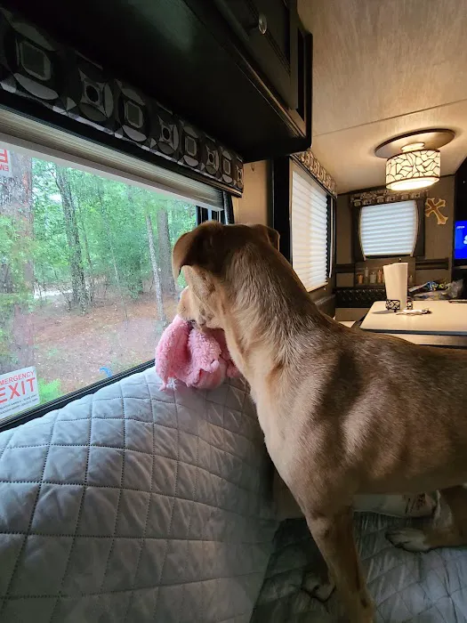 Winfield Campground Check-In Picture 4