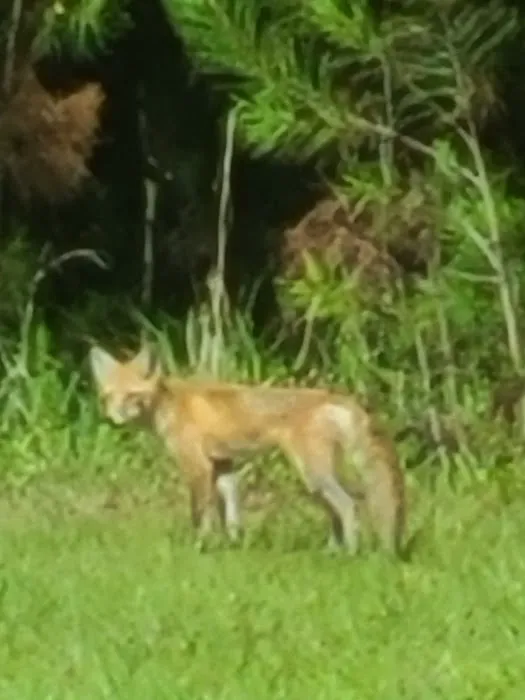 Winfield Campground Check-In Picture 7