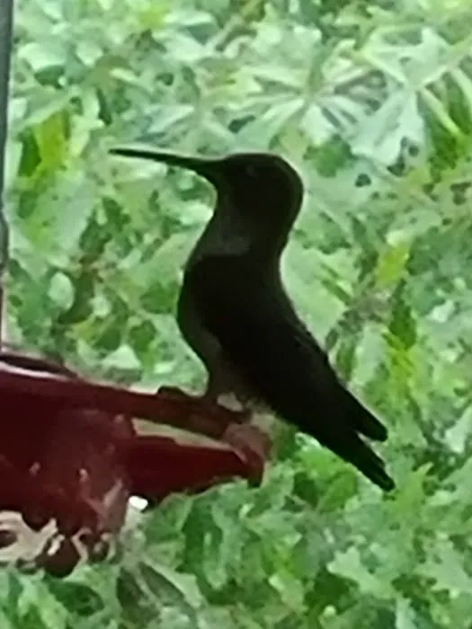 Winfield Campground Check-In Picture 8