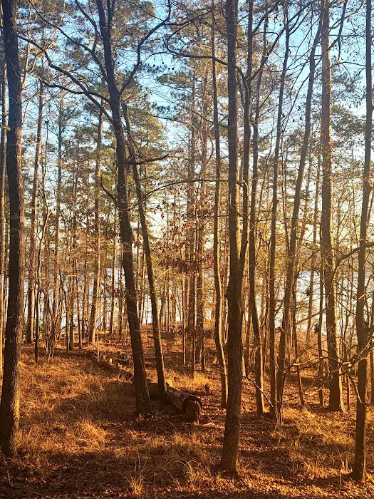 Mistletoe Cabins 6-10 Picture 3