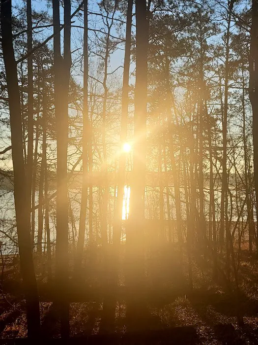 Mistletoe Cabins 6-10 Picture 7