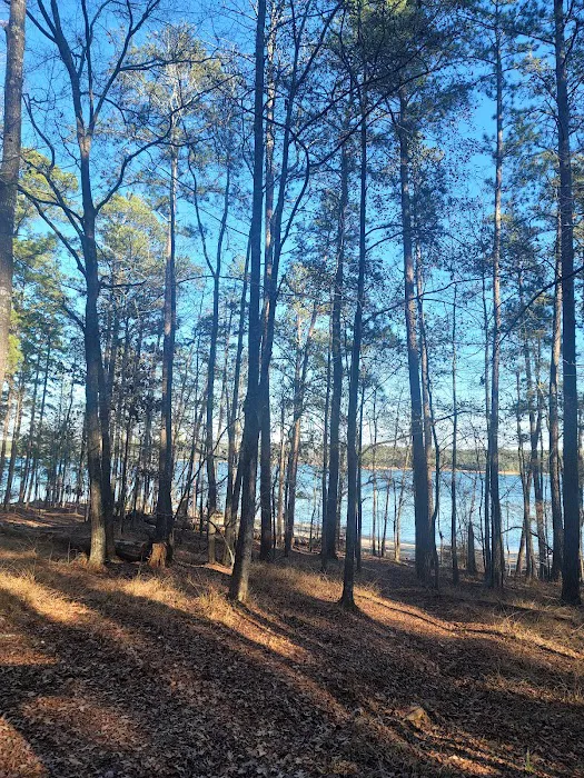 Mistletoe Cabins 6-10 Picture 6