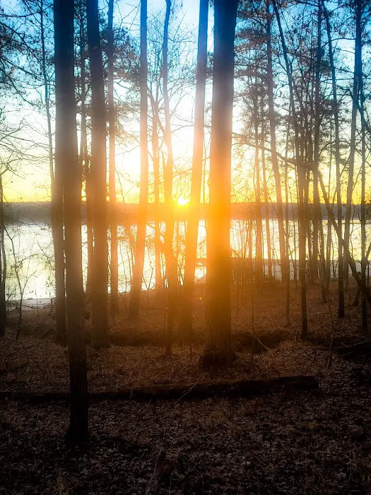 Mistletoe Cabins 6-10 Picture 8