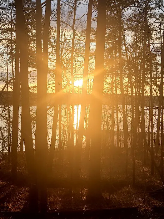 Mistletoe Cabins 6-10 Picture 9