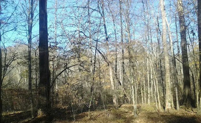 Factory Shoals Park Picture 5