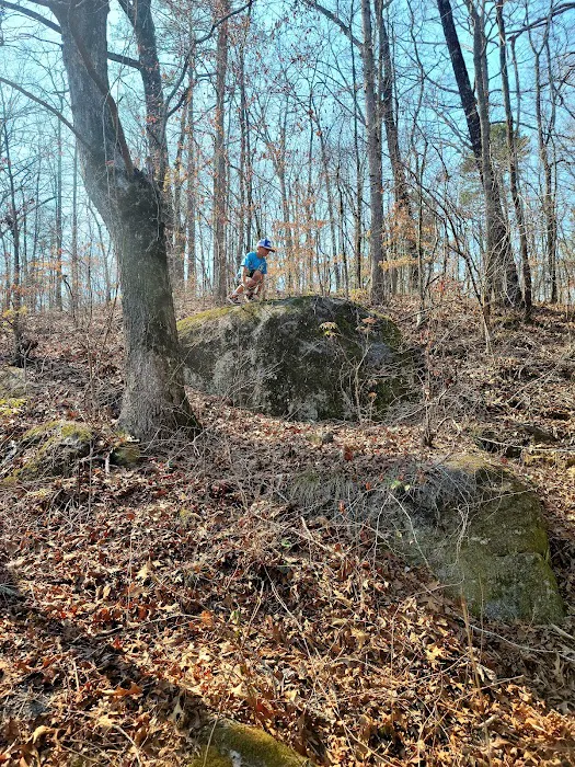 Factory Shoals Park Picture 4