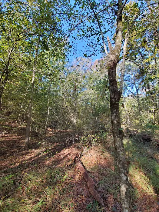 Factory Shoals Park Picture 9