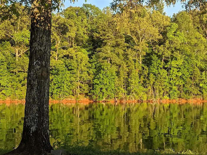 Dames Ferry Campground Picture 7