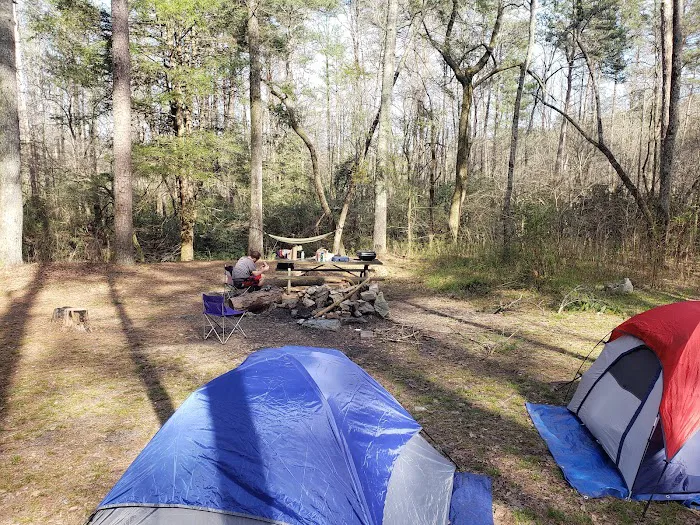 Lindsey Ford, Amicalola River Access Picture 3