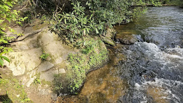 Lindsey Ford, Amicalola River Access Picture 6