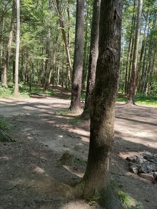 Lindsey Ford, Amicalola River Access Picture 8