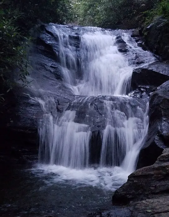 Wildcat Campground Picture 2