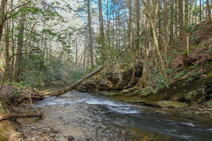 Wildcat Campground Picture 1