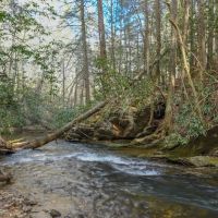 Wildcat Campground ico