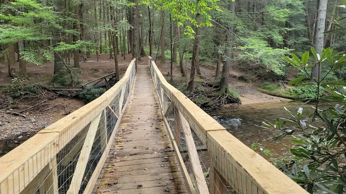 Wildcat Campground Picture 3