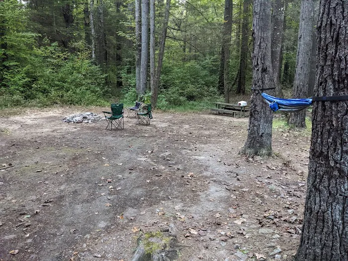 Wildcat Campground Picture 5