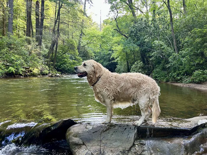 Wildcat Campground Picture 10
