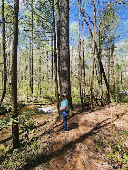 Jones Creek Campground Picture 1