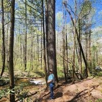 Jones Creek Campground ico