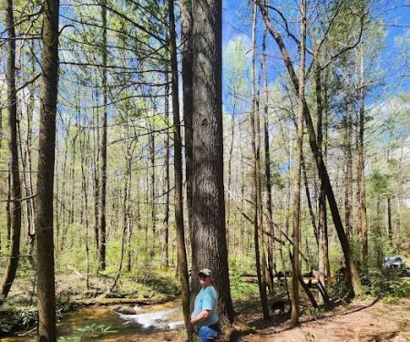 Jones Creek Campground