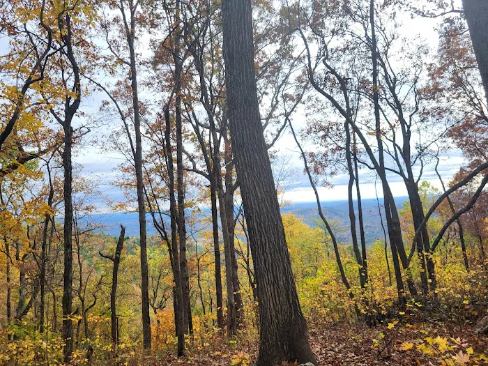 Jones Creek Campground Picture 2