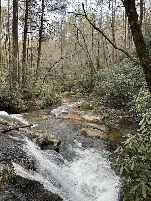 Jones Creek Campground Picture 3