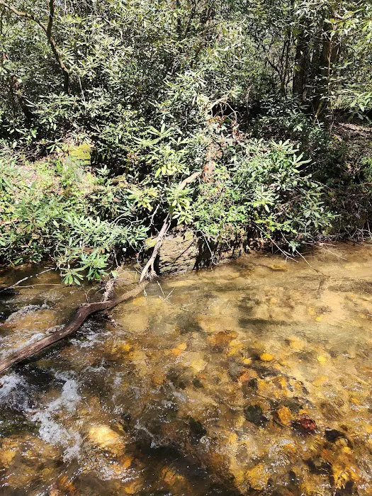 Jones Creek Campground Picture 6