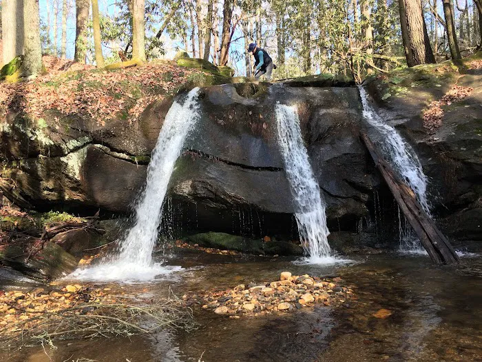 Jones Creek Campground Picture 8