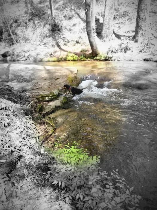 Jones Creek Campground Picture 10