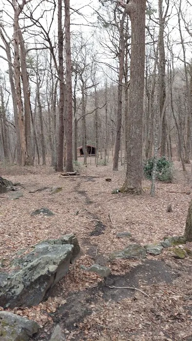 Black gap shelter Appalachian approach trail Picture 3
