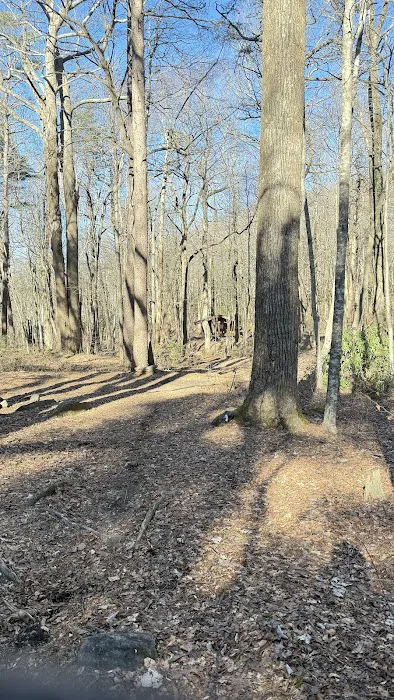 Black gap shelter Appalachian approach trail Picture 7