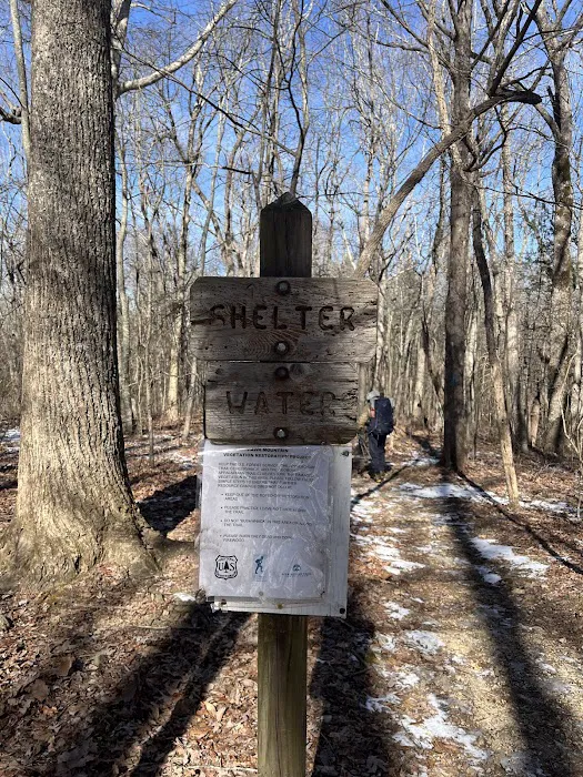 Hawk Mountain Shelter Picture 4