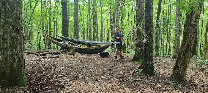 Hawk Mountain Shelter Picture 6