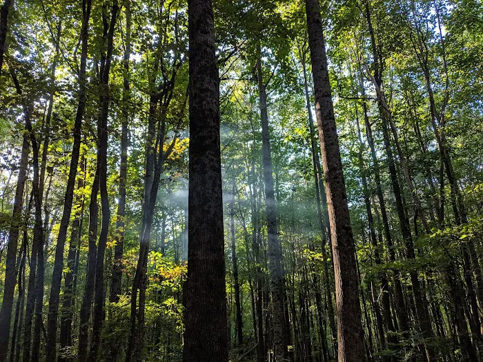Hawk Mountain Shelter Picture 8