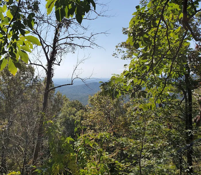 Hawk Mountain Shelter Picture 9