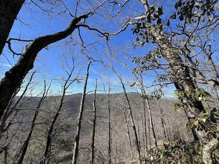 Hawk Mountain Shelter Picture 7