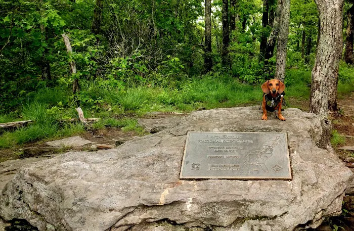 Springer Mountain Shelter Picture 6