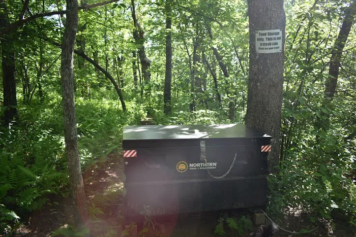 Springer Mountain Shelter Picture 5