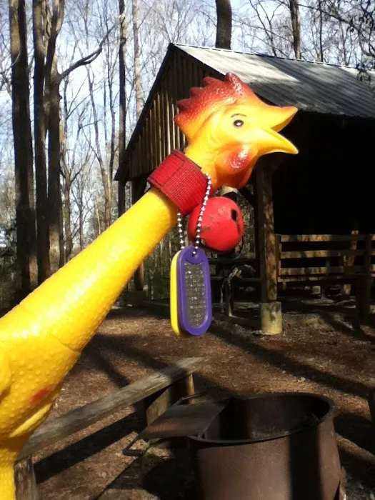 Springer Mountain Shelter Picture 7