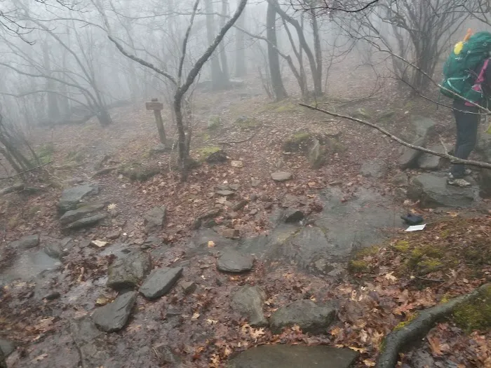 Springer Mountain Shelter Picture 8