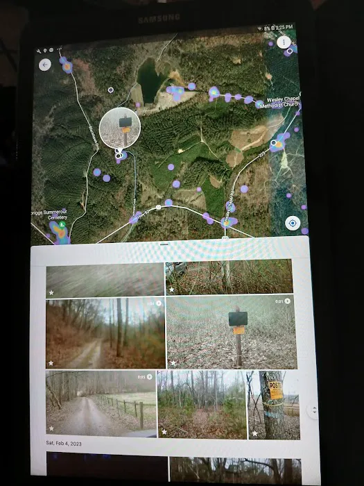 Amicalola Cabins Picture 1