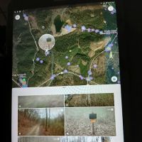 Amicalola Cabins ico