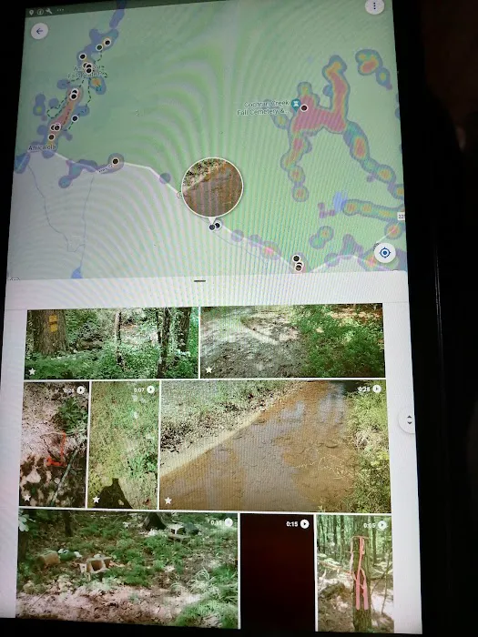 Amicalola Cabins Picture 3